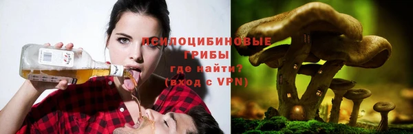 эйфоретик Вяземский