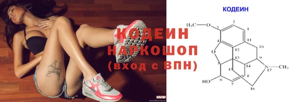эйфоретик Вяземский