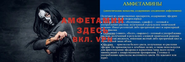 эйфоретик Вяземский