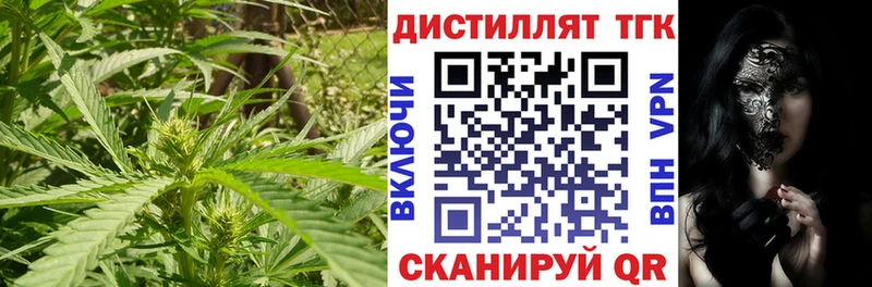 Купить Починок Дистиллят ТГК THC oil