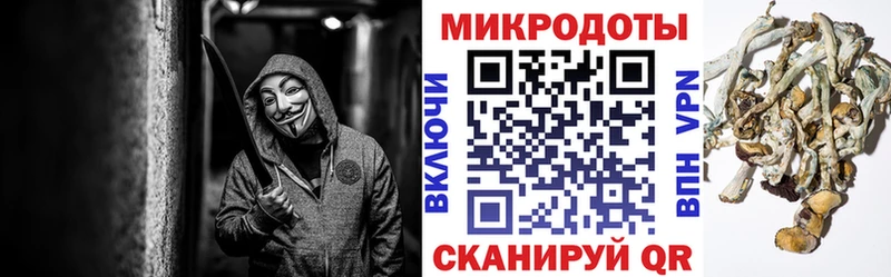Купить закладки  Починок  Псилоцибиновые грибы Cubensis 